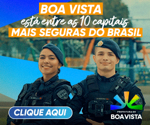 BV MAIS SEGURA 300X250 1