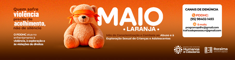 ALE LARANJA 970X250