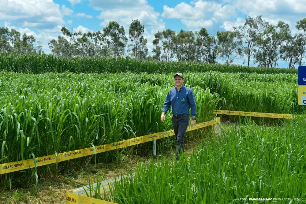 Campo Experimental: Uma vitrine de tecnologia e inovação no Maior Evento do Agro de Roraima