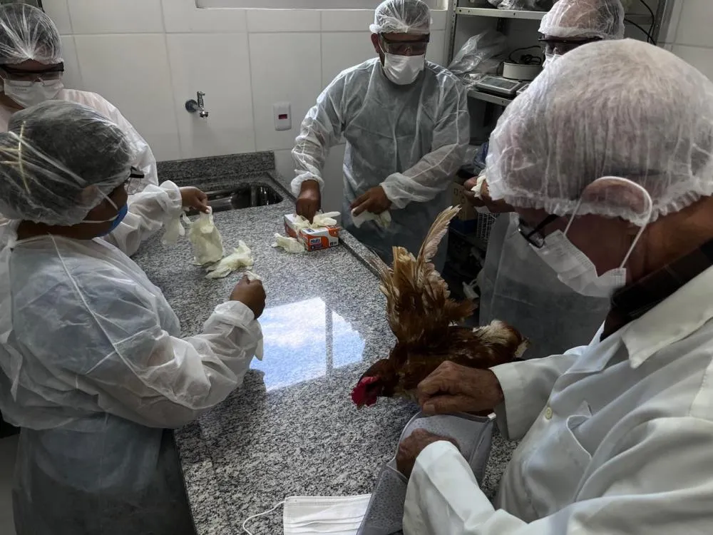 Profissionais da Aderr recebem capacitação sobre sanidade aviária