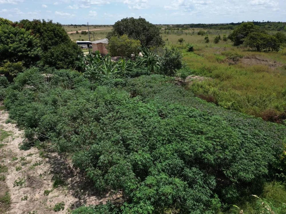 Prefeitura garante segurança alimentar nas comunidades indígenas de Boa Vista