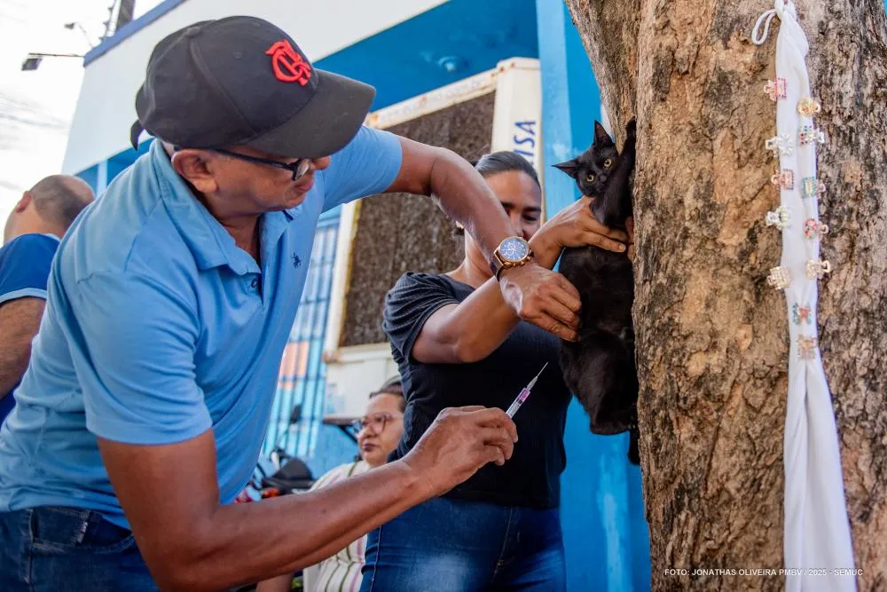 Prefeitura imuniza mais de 20 mil animais contra raiva em Boa Vista