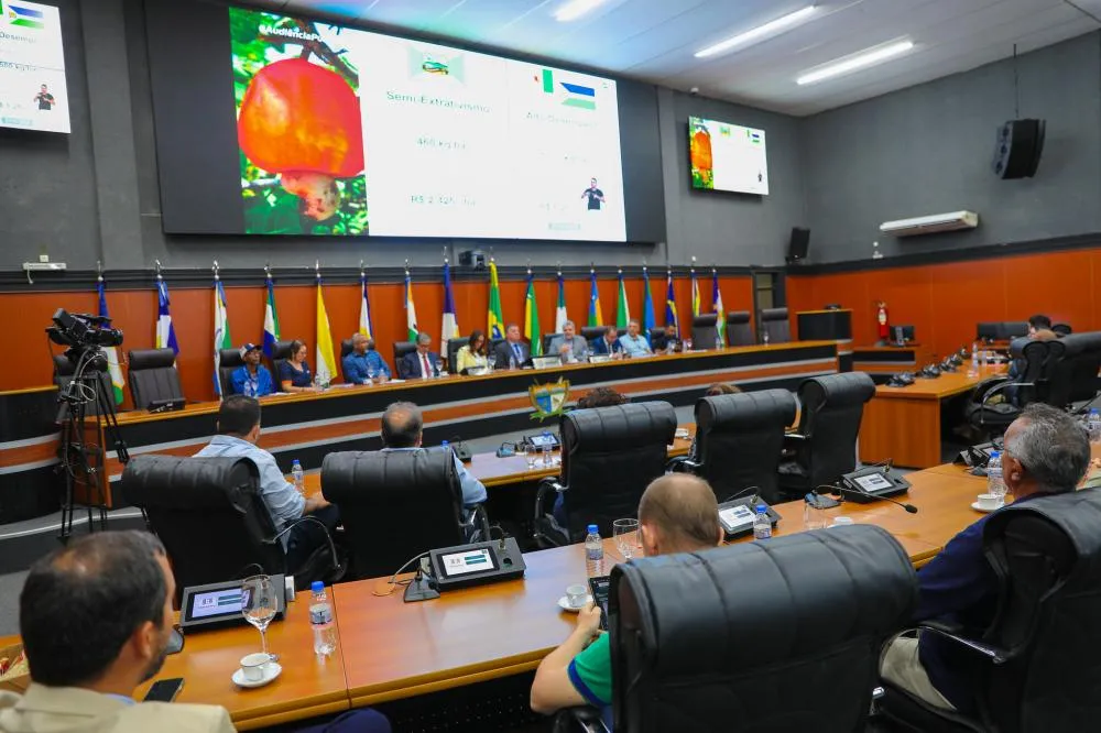Potencial da produção de caju é discutido em audiência pública na ALERR