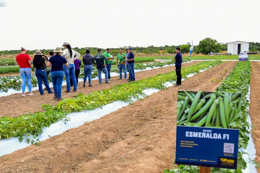 Visitas aos canteiros do CDT aproximam comunidade de novas culturas e técnicas de cultivo