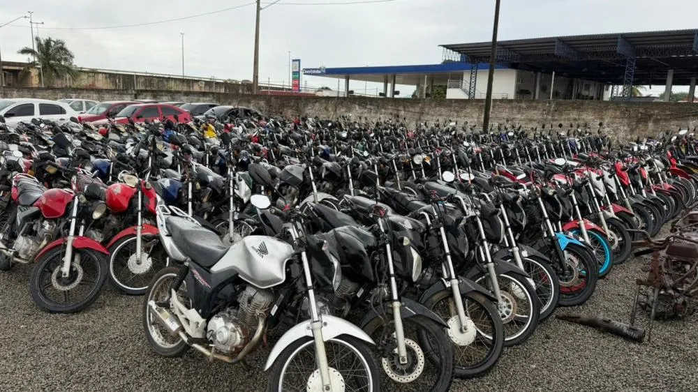 Detran-RR realiza leilão online com 230 lotes de veículos