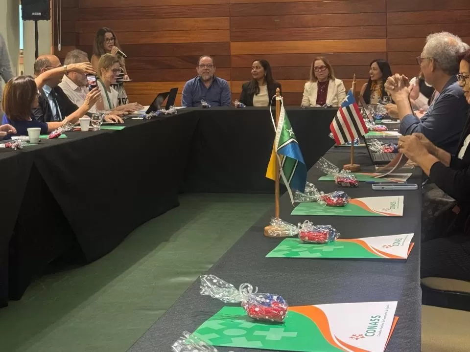 Roraima participa do lançamento do Ambiente Virtual de Experiências Exitosas do Conass
