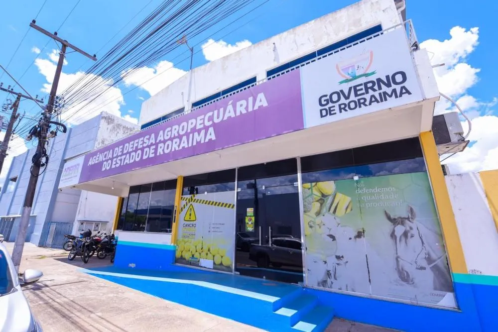 Prazo para atualização cadastral de rebanhos em Roraima termina no dia 31 de outubro